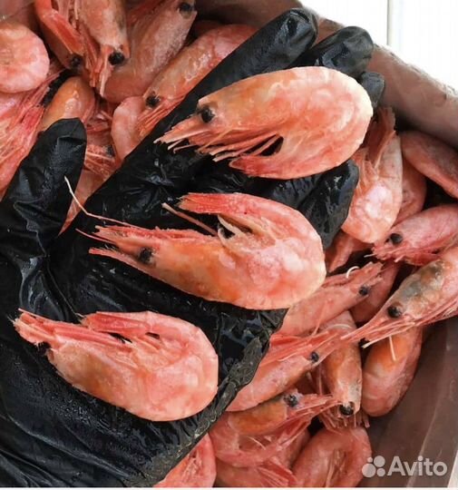 Красная икра / креветки