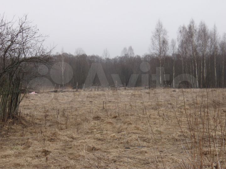 Участок 45 сот. (ИЖС)