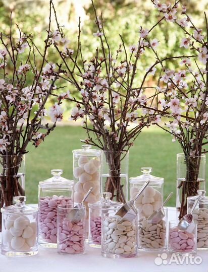 Организация свадьбы организатор координатор