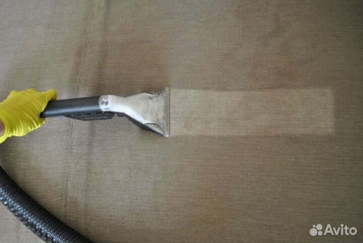 Аренда моющего пылесоса Кarсher