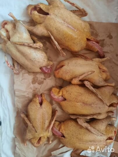 Мясо индоутки