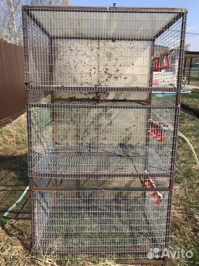 Клетка для кур