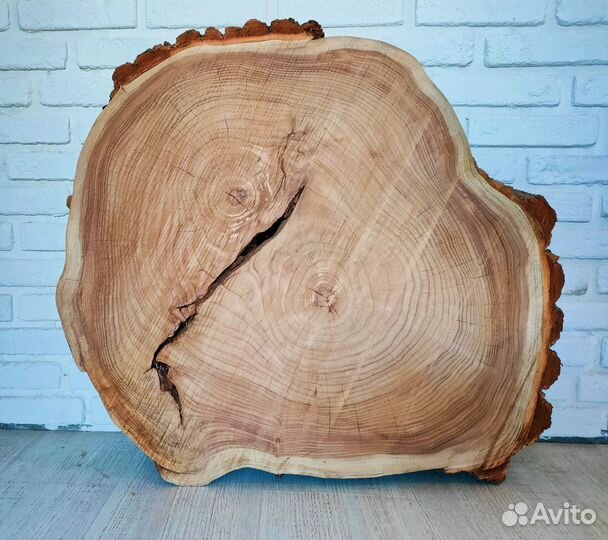 Большой спил карагача