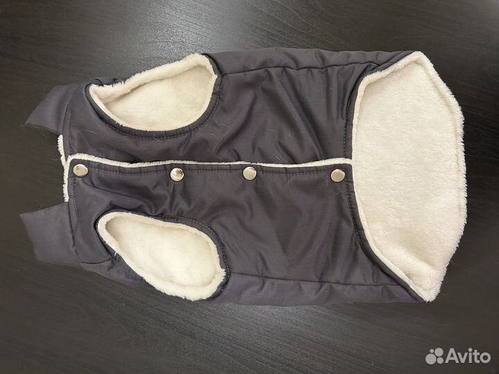 Одежда для собак мелких пород