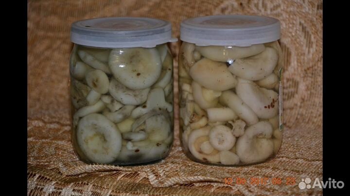 Грузди белые соленые и микс