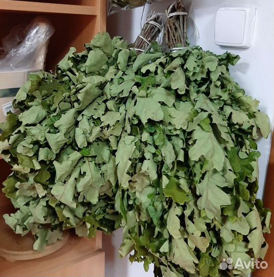 Веники дубовые заготовки 2023 г