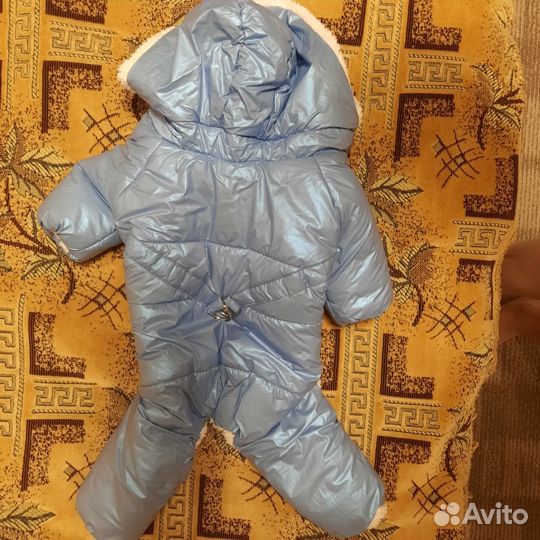 Зимний комбинезон для собак мелких пород