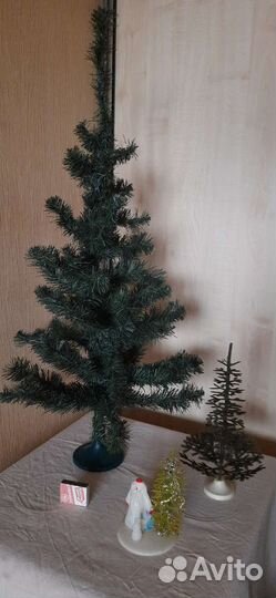 Ель малютка, СССР и современная