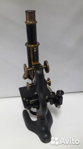 Микроскоп Bausch Lomb USA Аренда