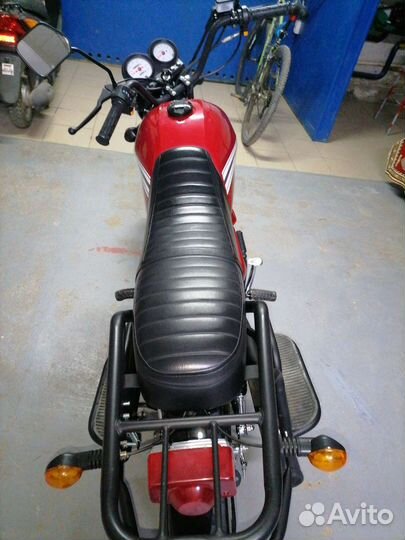 Альфа кольт