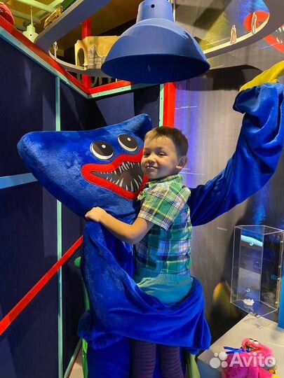 Яркие аниматоры на праздники, шоу-программы