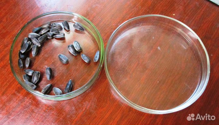 Чаши для проращивания семян СССР