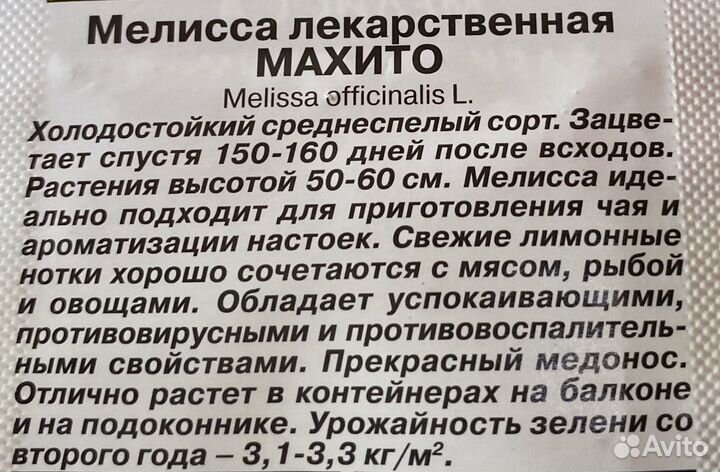 Мелисса ароматная