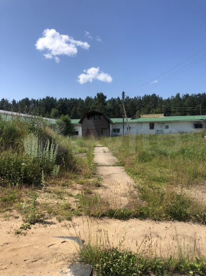 Участок 600 га (СНТ, ДНП)