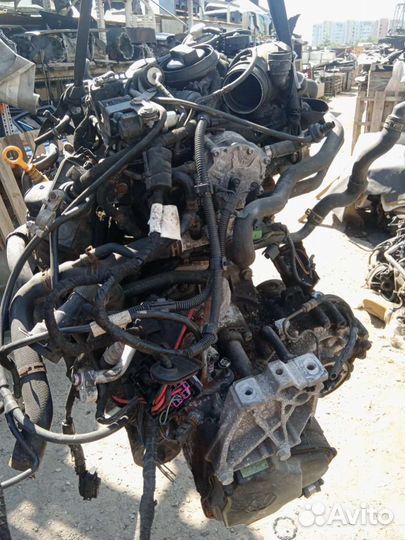 Двигатель Volkswagen Golf 4 (1997 - 2006) AXR