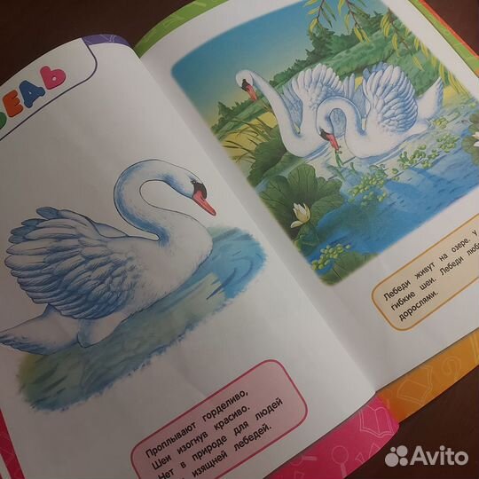 Годовой курс занятий