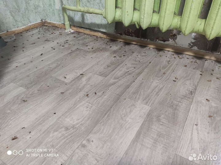 Уничтожение клопов и тараканов