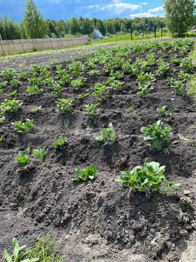 Участок 11,2 сот. (СНТ, ДНП)