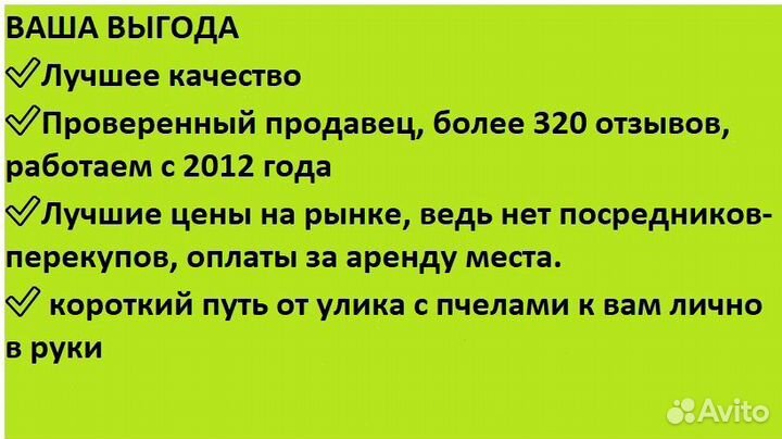 Мед 5л подсолнечный для чая доставкой 0 рубл