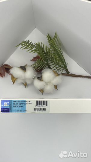 SQL Server 2019 Standart 10 CLT