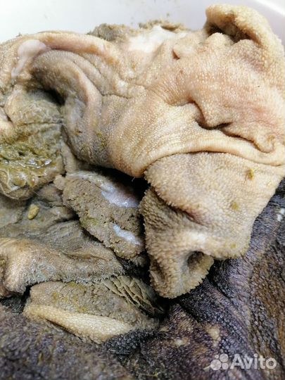 Мясо, птица и мясо продукты для собак