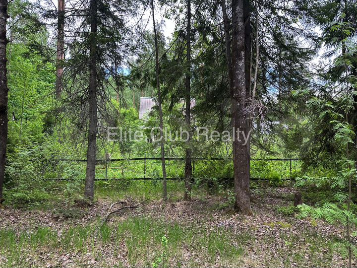 Участок 33,7 сот. (ИЖС)