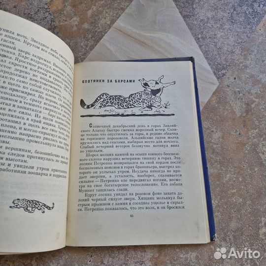 Охотники за барсами. Зверев. 1960 г