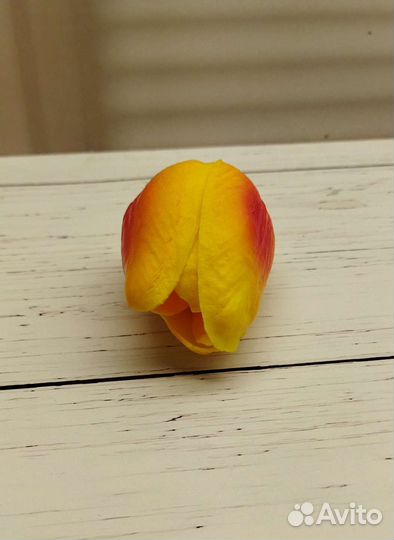 Бутон тюльпана (латексные)