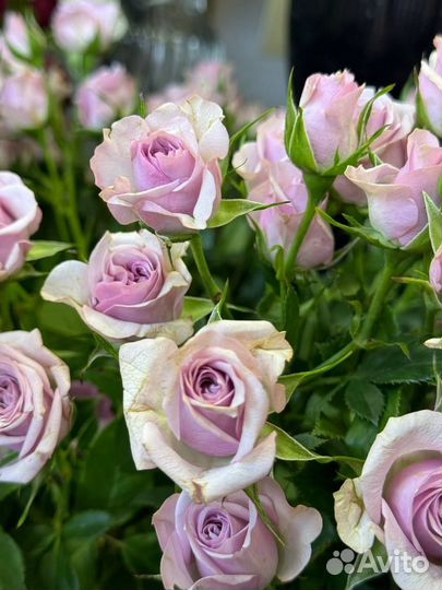 Букет цветов