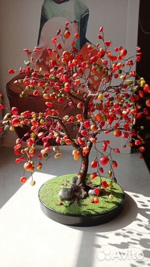 Коралловое дерево