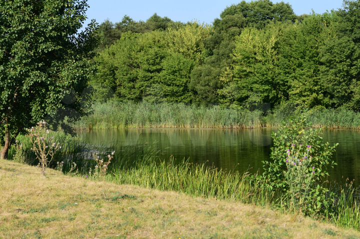 Дом 50 м² на участке 25 сот.