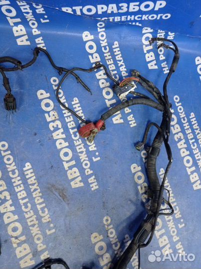 Проводка подкапотная Mazda 6 Gg седан L3C1 2002