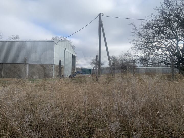 Экоферма по производству куриных яиц