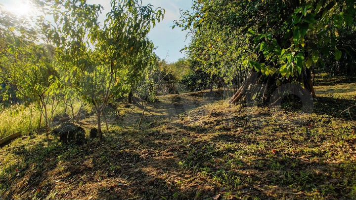 Участок 4,8 сот. (ИЖС)