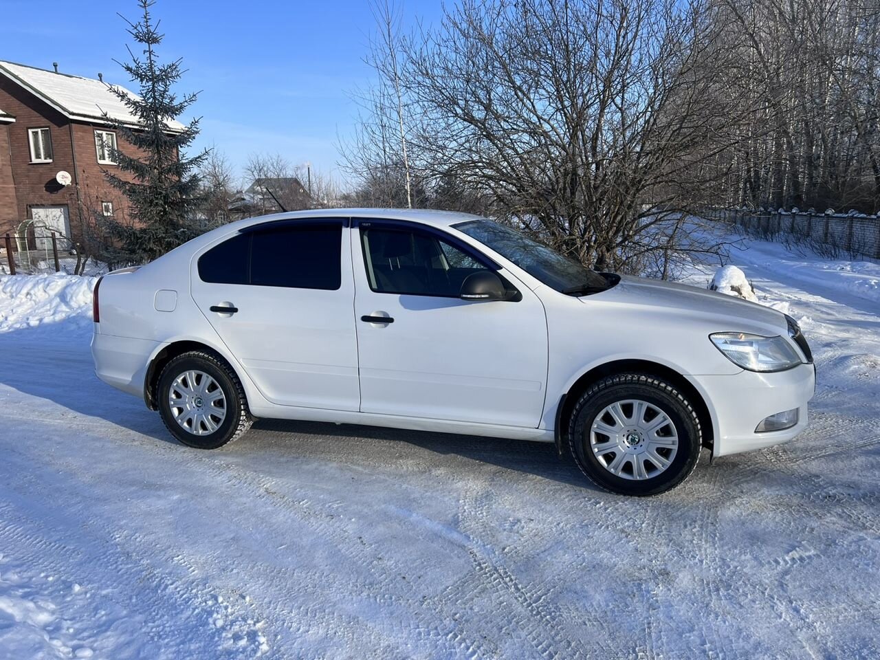Skoda Octavia: фото владельца