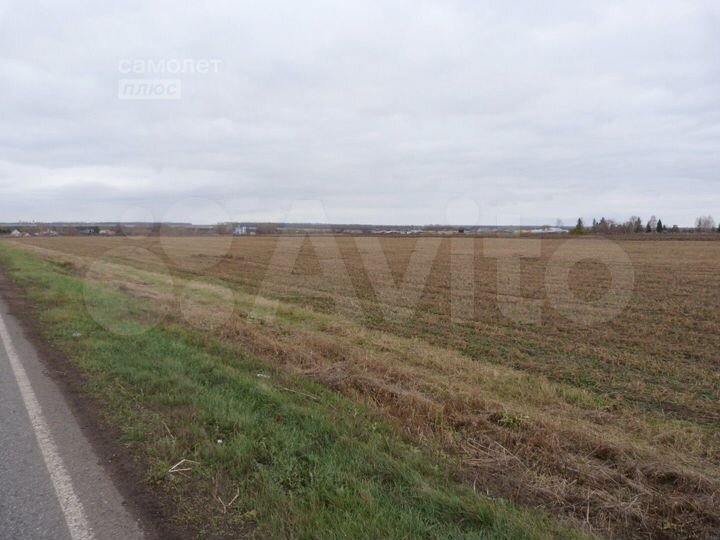 Участок 85,5 сот. (СНТ, ДНП)