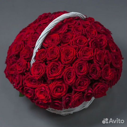 Букеты из 101 розы Роза Цветы 25 51 роза