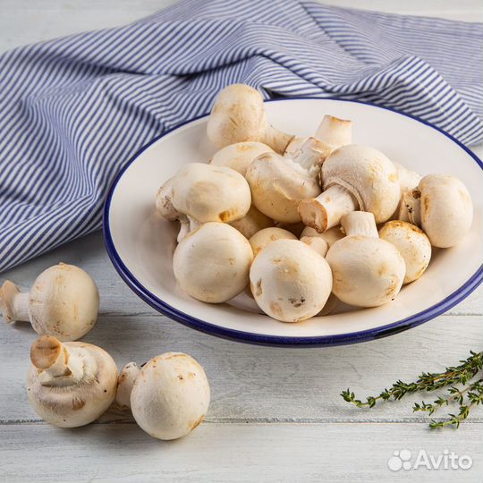 Грибнaя зaтея