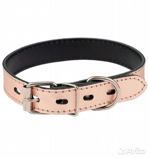 Ошейник для собак