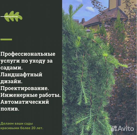 Услуги садовника