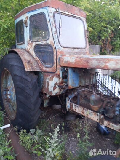 Трактор ЛТЗ Т-40, 1983