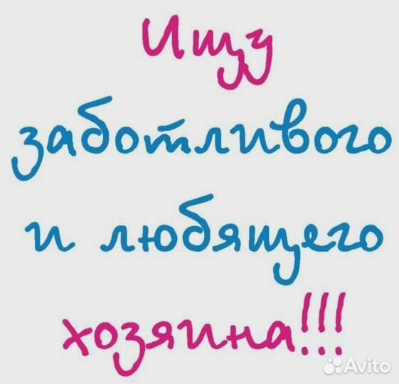 Отдам в добрые руки