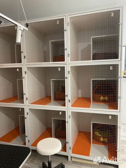 Мини-Зоогостиница-Передержка