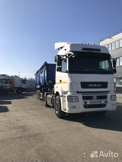 КамАЗ 5490 NEO, 2018