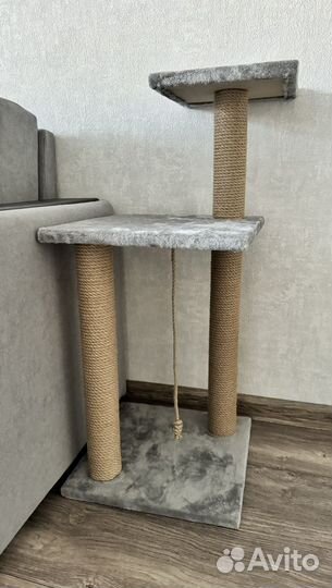 Когтеточка