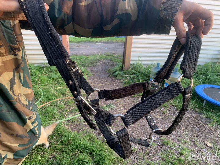 Недоуздки x full