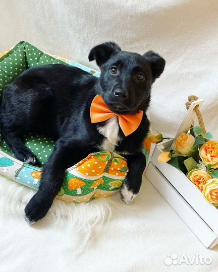 Малышка от наикрасивейшей мамки