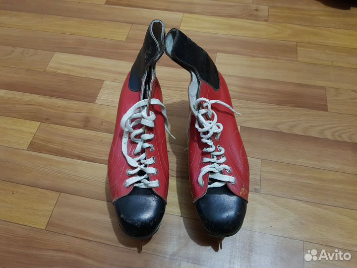 Коньки-петушки