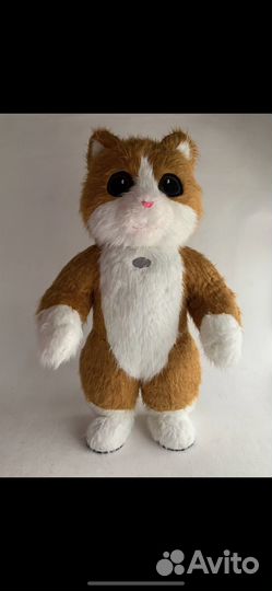 Аниматоры Мишка и Зайка на праздник, поздравление