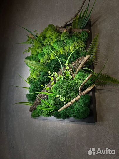 Настенное панно из стабилизированного мха